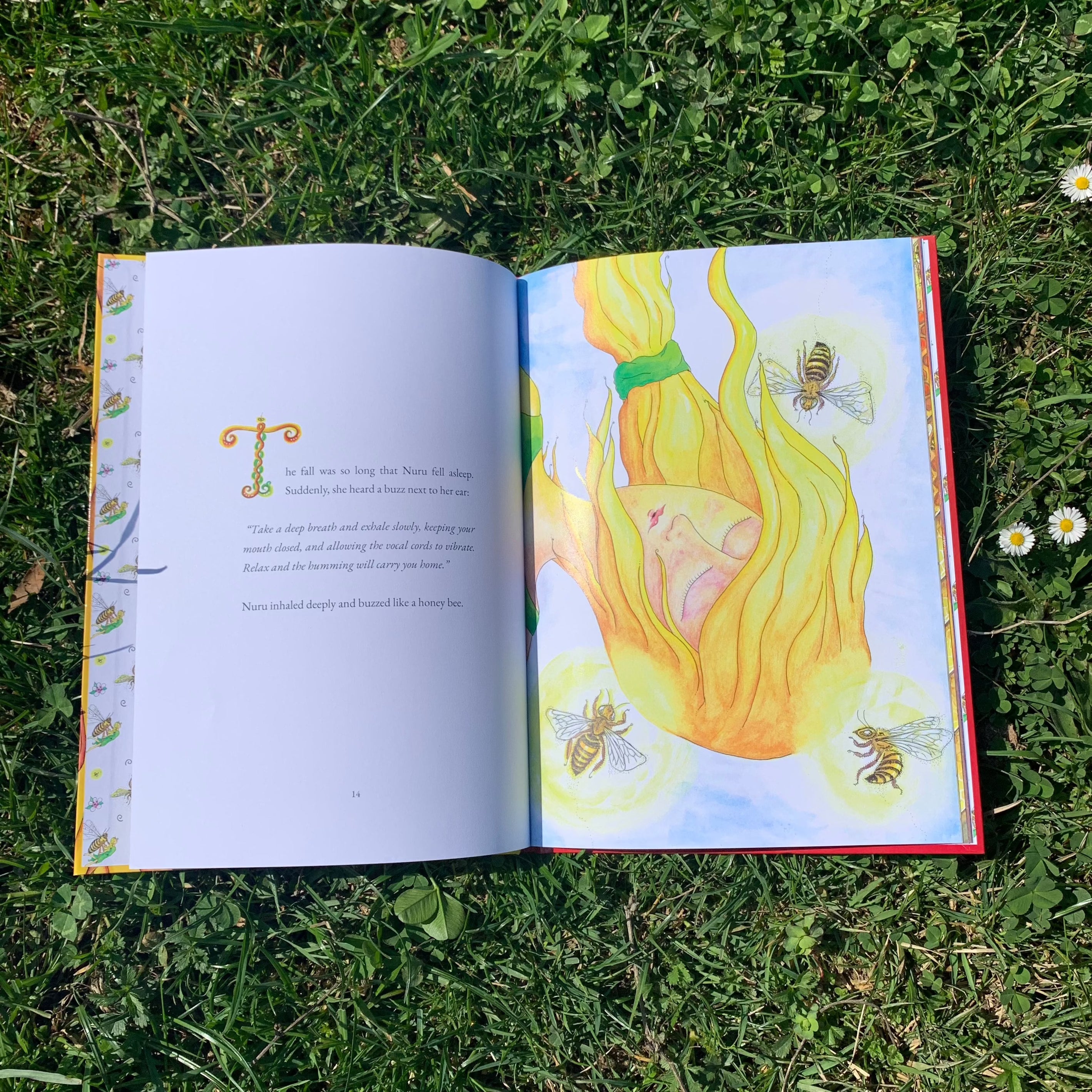 The Light of the Bee - Illustrated book