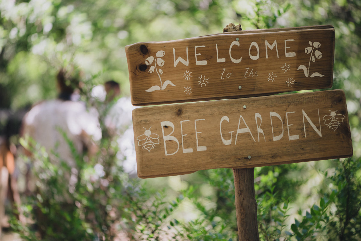 Amara Valley Bee Garden. Photo by Mónica del Agua