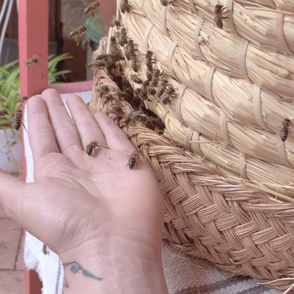 Skep fait à la main pour les Abeilles