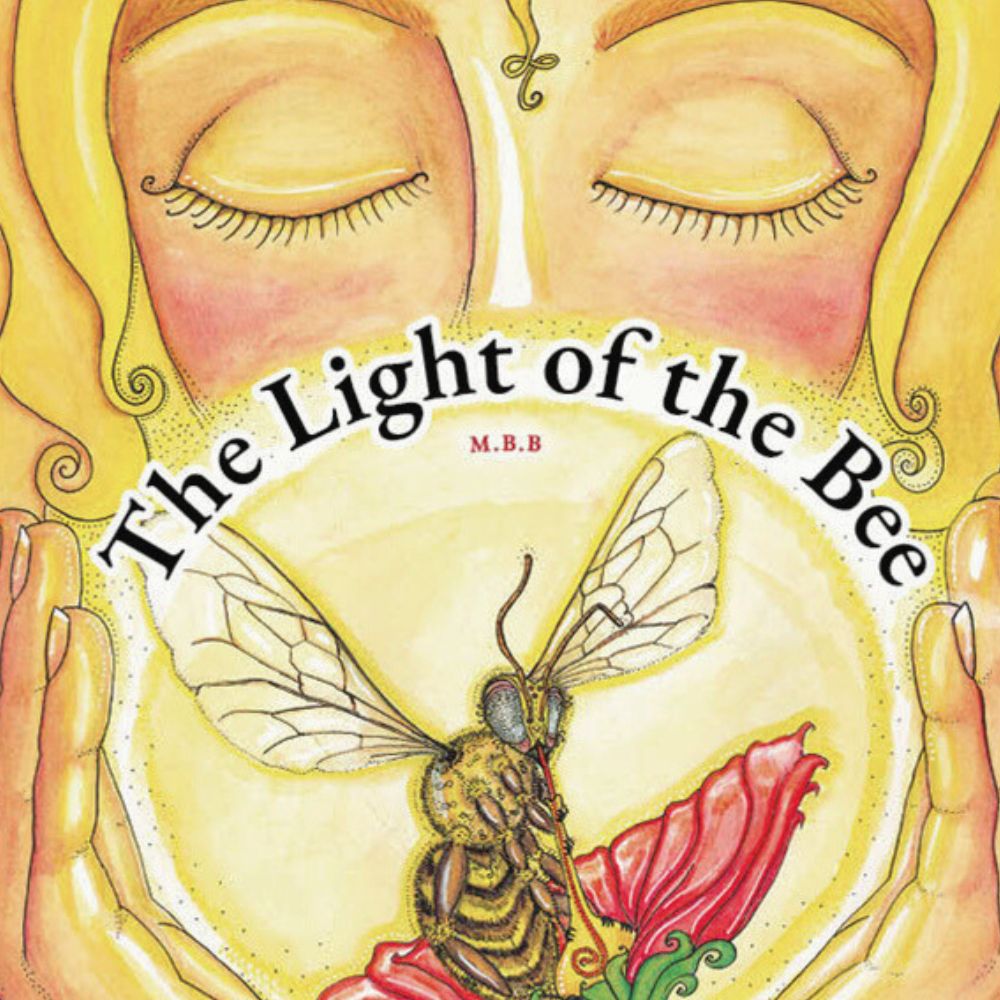 The Light of the Bee - Illustrated book